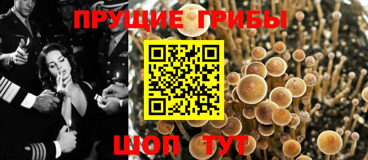 где можно купить наркотик  Вход с VPN  Нягань  Галлюциногенные грибы мухоморы 